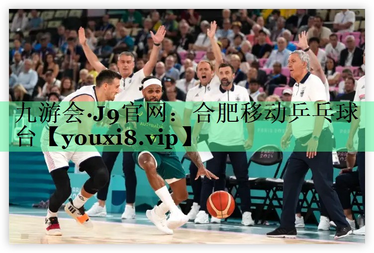 合肥移动乒乓球台