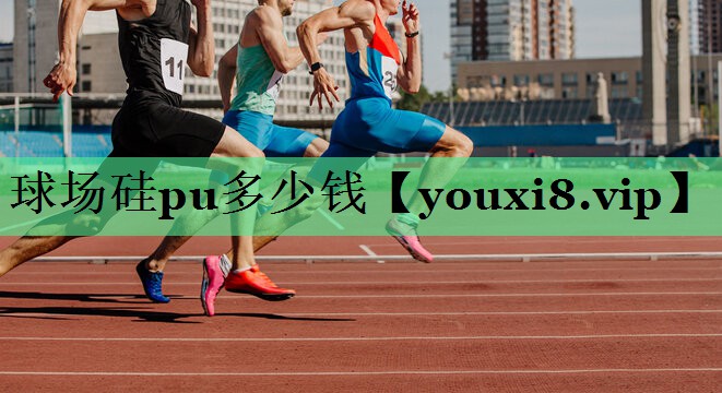 球场硅pu多少钱