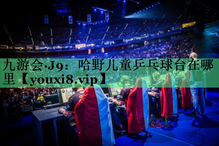 哈野儿童乒乓球台在哪里