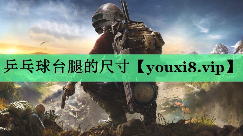 乒乓球台腿的尺寸