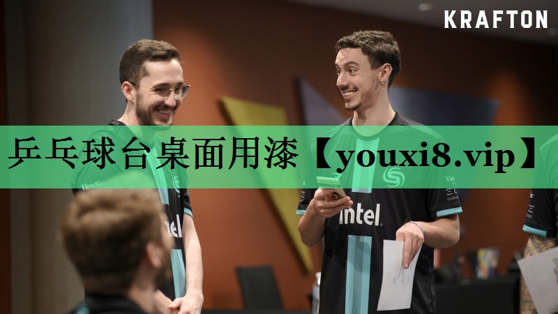 乒乓球台桌面用漆