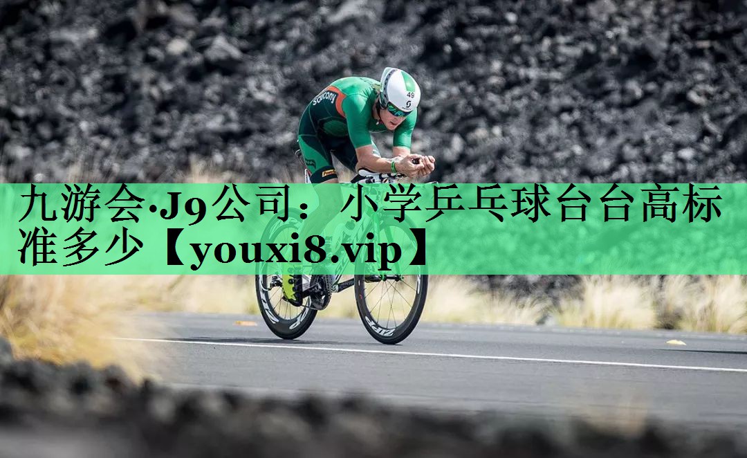 小学乒乓球台台高标准多少
