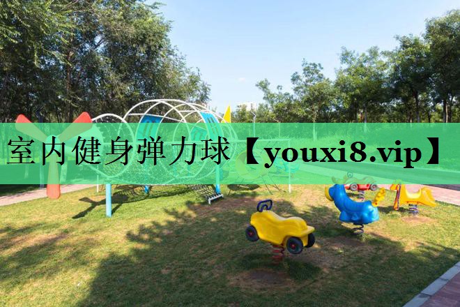 室内健身弹力球