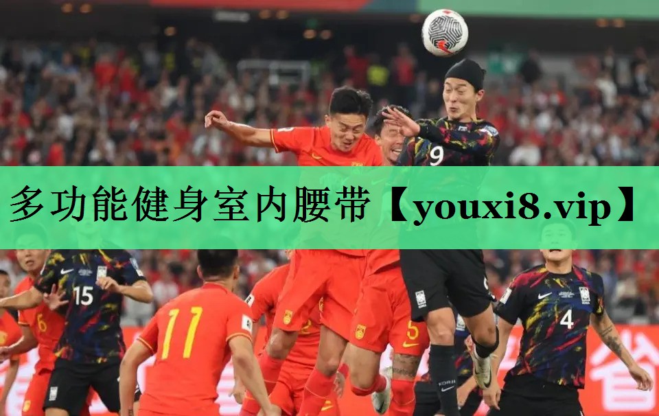 多功能健身室内腰带