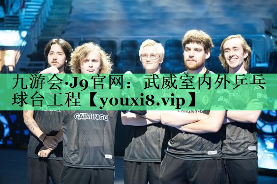 武威室内外乒乓球台工程
