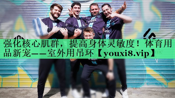 强化核心肌群，提高身体灵敏度！体育用品新宠——室外用吊环