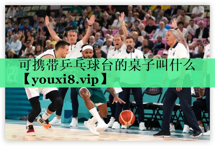可携带乒乓球台的桌子叫什么