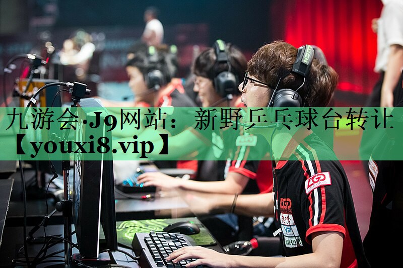 新野乒乓球台转让
