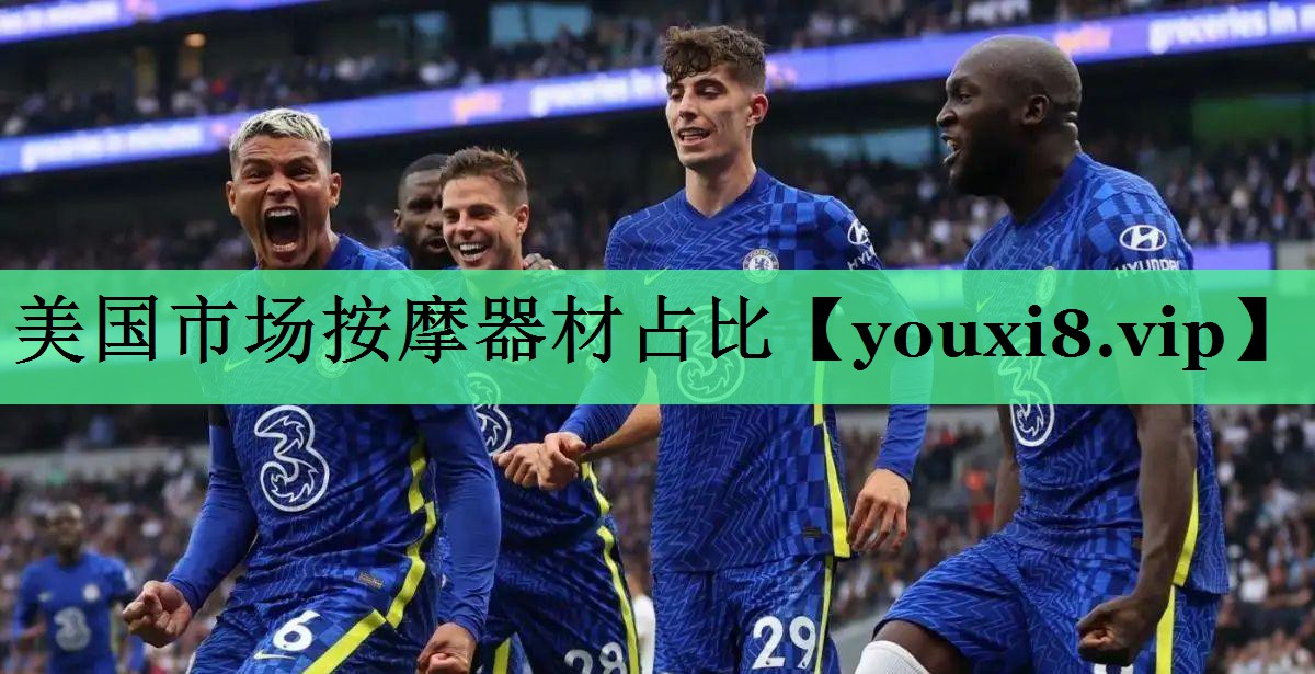 美国市场按摩器材占比