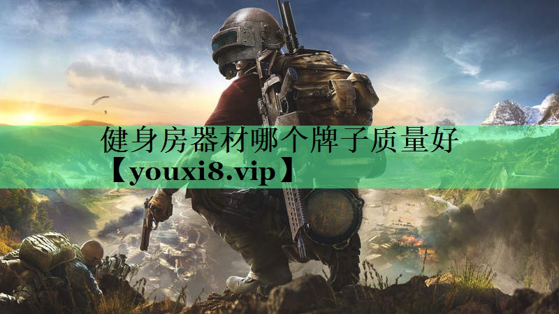 健身房器材哪个牌子质量好