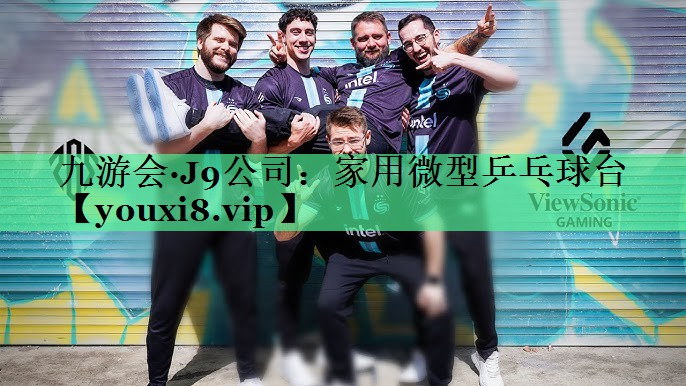 家用微型乒乓球台