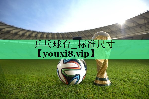 乒乓球台_标准尺寸